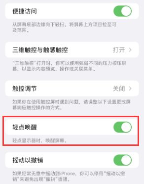 辽宁苹果授权维修站分享iPhone轻点无法唤醒怎么办