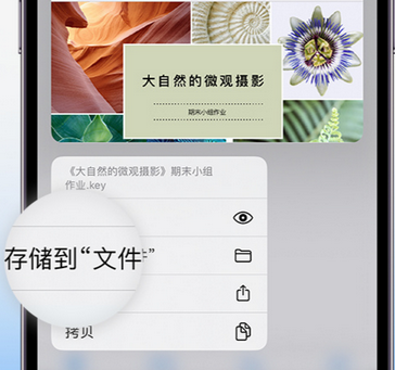 辽宁apple维修中心分享iPhone文件应用中存储和找到下载文件