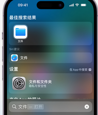 辽宁apple维修中心分享iPhone文件应用中存储和找到下载文件