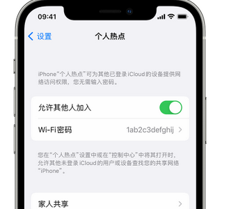 辽宁apple服务站点分享iPhone上个人热点丢失了怎么办 