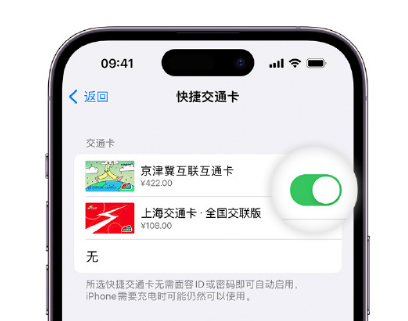 辽宁apple维修点分享iPhone上更换Apple Pay快捷交通卡手绘卡面 