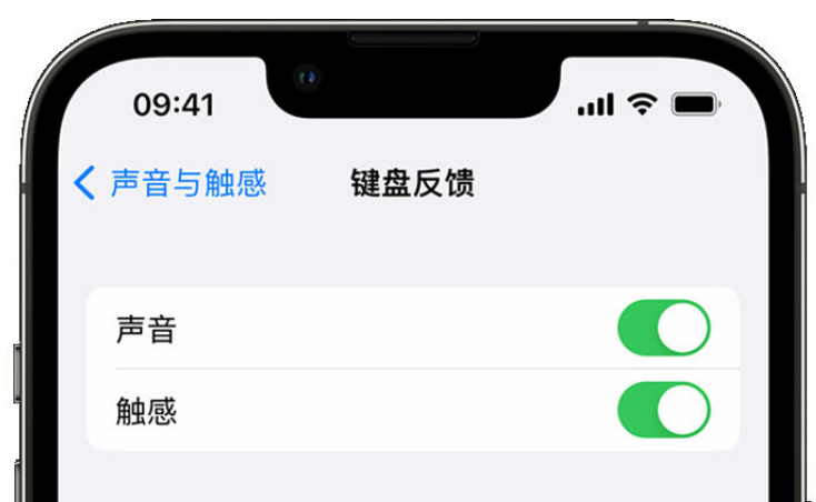 辽宁苹果手机维修分享iPhone 14触感键盘使用方法 