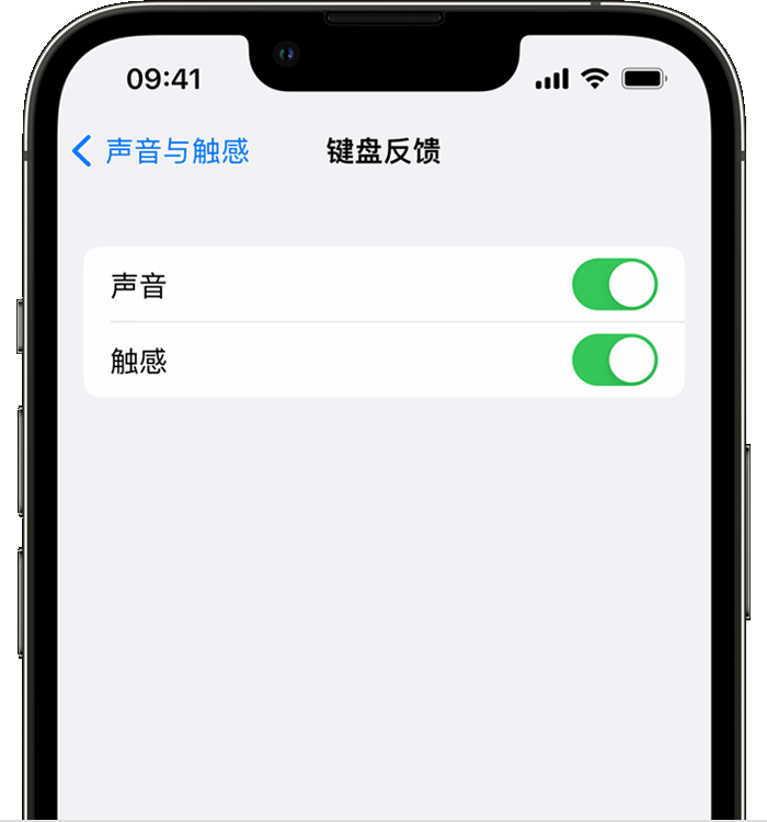 辽宁苹果14维修店分享如何在 iPhone 14 机型中使用触感键盘 