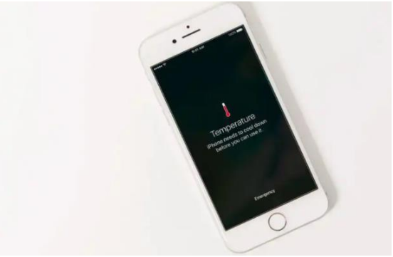 辽宁苹果手机维修分享iPhone 手机发热如何快速降温 