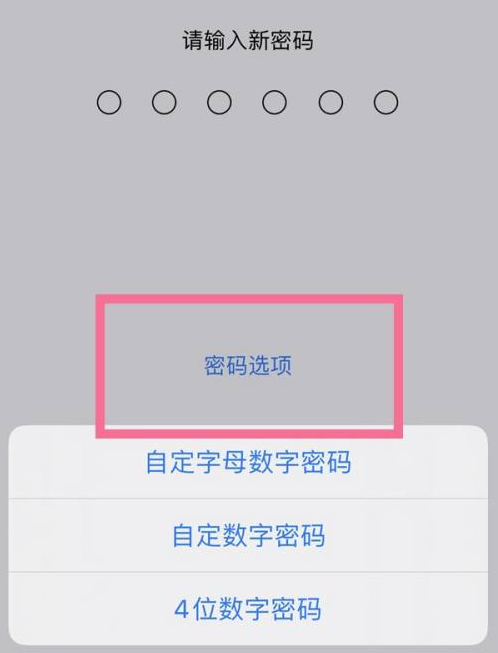 辽宁苹果14维修分享iPhone 14plus设置密码的方法 