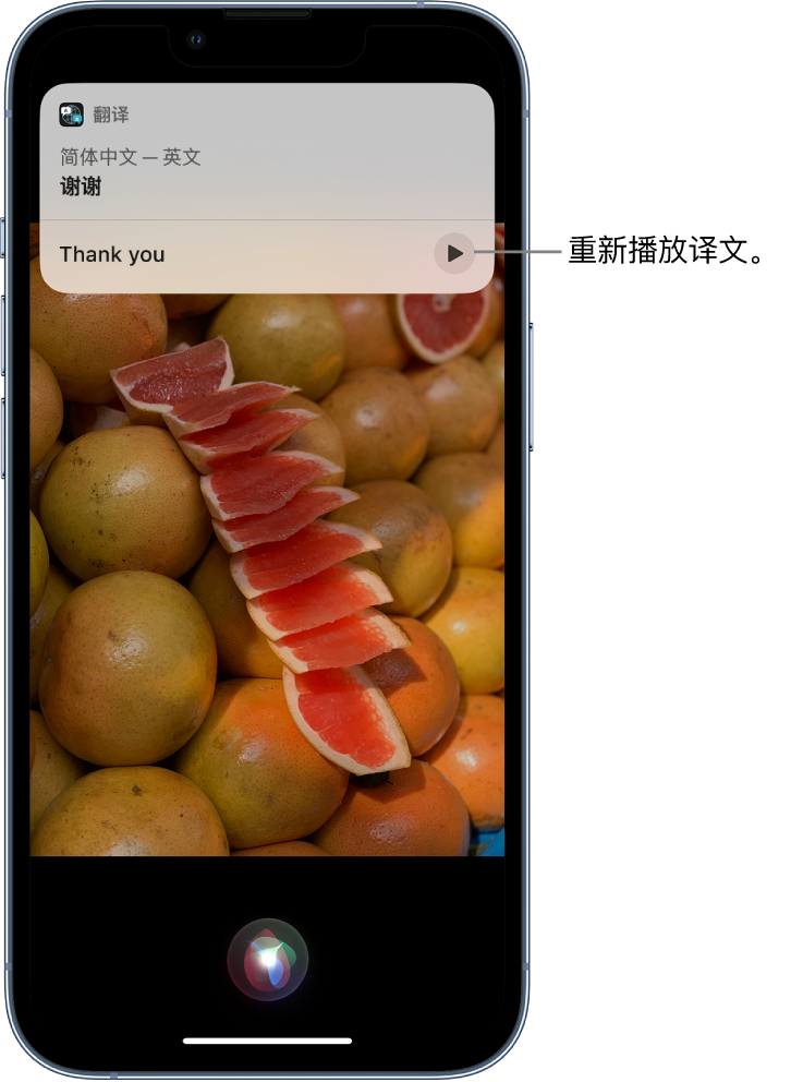 辽宁苹果14维修分享 iPhone 14 机型中使用 Siri：了解 Siri 能帮你做什么 