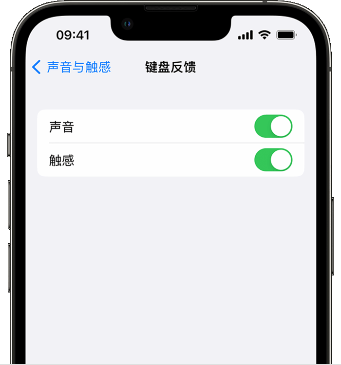 辽宁苹果14维修分享iPhone 14 系列机型如何开启键盘声音或触感反馈 