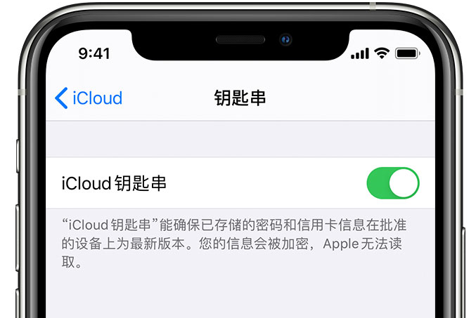 辽宁苹果手机维修分享在 iPhone 上开启 iCloud 钥匙串之后会储存哪些信息 