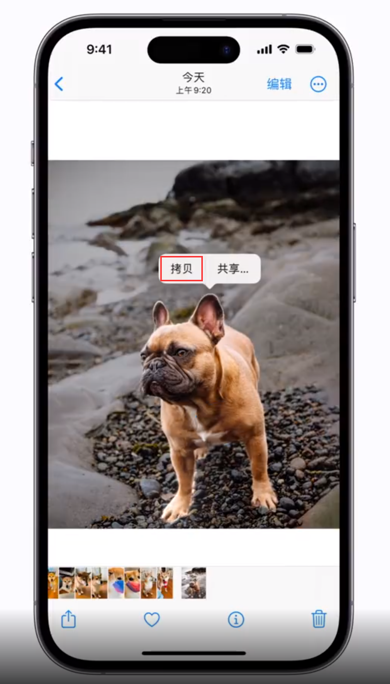 辽宁苹果手机维修分享 iOS 16 自带一键抠图功能 