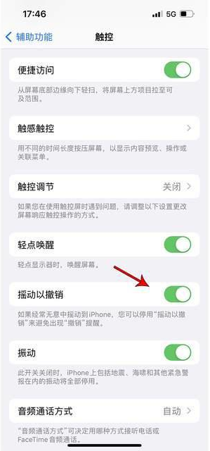 辽宁苹果手机维修分享iPhone手机如何设置摇一摇删除文字 