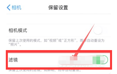 辽宁苹果13维修分享iPhone13拍照有绿点是怎么回事 