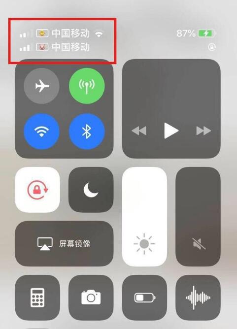 辽宁苹果手机维修分享为 iPhone 12 双卡设置标签 