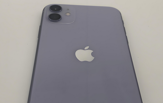辽宁苹果11系统维修分享iPhone11手机系统崩溃无法开机如何解决 