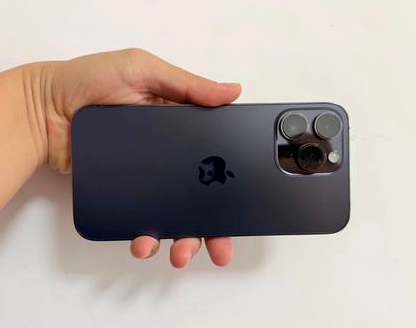 辽宁苹果维修点分享iPhone 14 Pro Max发烫多重诱因剖析 